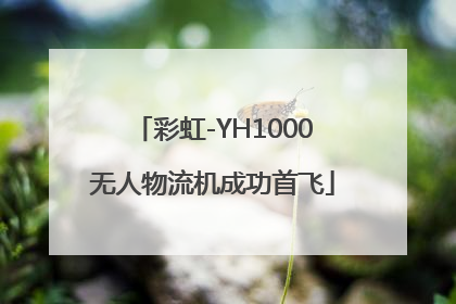 彩虹-YH1000无人物流机成功首飞