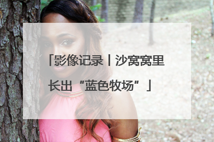 影像记录丨沙窝窝里长出“蓝色牧场”