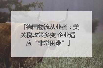德国物流从业者：美关税政策多变 企业适应“非常困难”