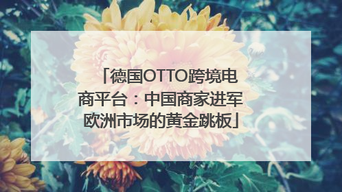 德国OTTO跨境电商平台：中国商家进军欧洲市场的黄金跳板