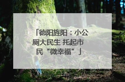 德阳旌阳：小公厕大民生 托起市民“微幸福”