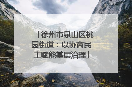 徐州市泉山区桃园街道：以协商民主赋能基层治理