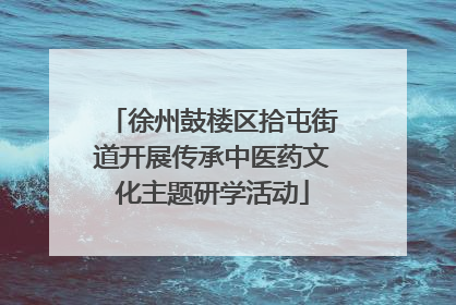 徐州鼓楼区拾屯街道开展传承中医药文化主题研学活动