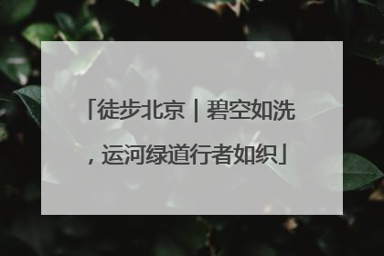 徒步北京｜碧空如洗，运河绿道行者如织