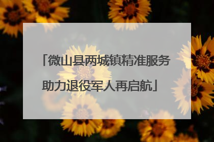 微山县两城镇精准服务助力退役军人再启航