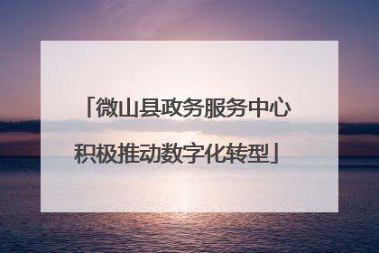 微山县政务服务中心积极推动数字化转型