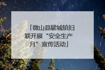 微山县驩城镇妇联开展“安全生产月”宣传活动
