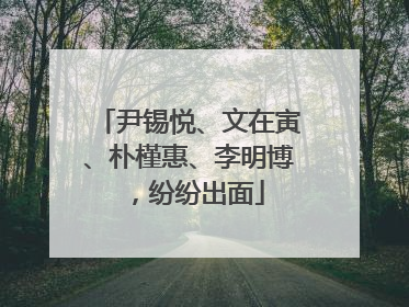尹锡悦、文在寅、朴槿惠、李明博，纷纷出面