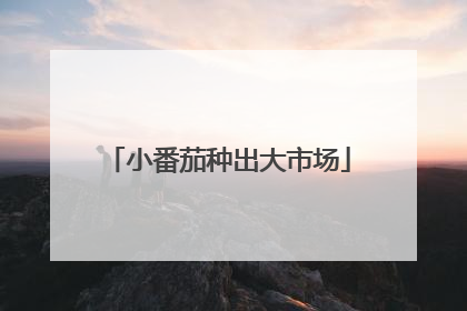小番茄种出大市场