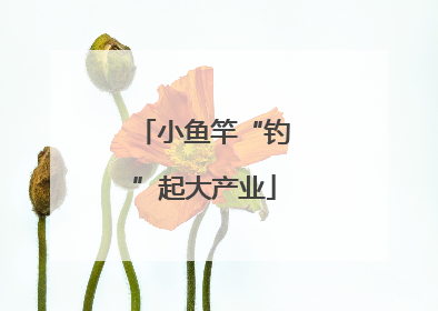 小鱼竿“钓”起大产业