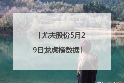尤夫股份5月29日龙虎榜数据