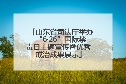 山东省司法厅举办“6·26”国际禁毒日主题宣传暨优秀戒治成果展示