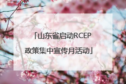 山东省启动RCEP政策集中宣传月活动
