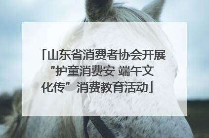 山东省消费者协会开展 “护童消费安 端午文化传”消费教育活动