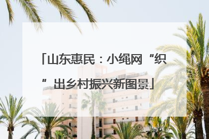 山东惠民：小绳网“织”出乡村振兴新图景