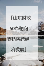 山东财政50条靶向支持民营经济发展