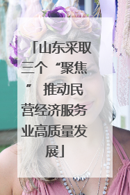 山东采取三个“聚焦” 推动民营经济服务业高质量发展
