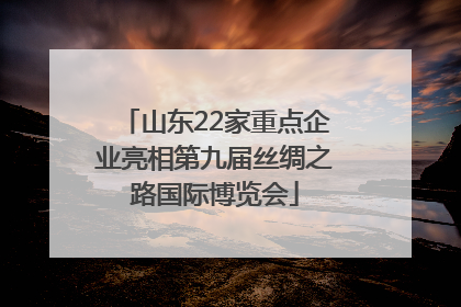 山东22家重点企业亮相第九届丝绸之路国际博览会
