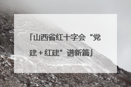 山西省红十字会“党建＋红建”谱新篇