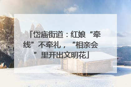 岱庙街道：红娘“牵线”不牵礼，“相亲会”里开出文明花