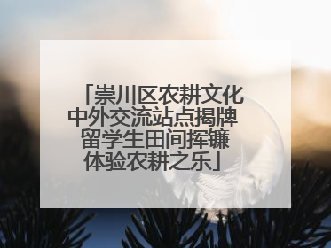 崇川区农耕文化中外交流站点揭牌 留学生田间挥镰体验农耕之乐