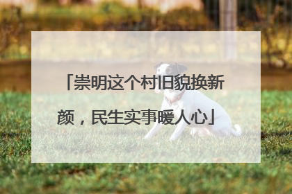 崇明这个村旧貌换新颜，民生实事暖人心