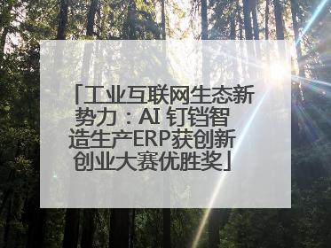 工业互联网生态新势力：AI 钉铛智造生产ERP获创新创业大赛优胜奖