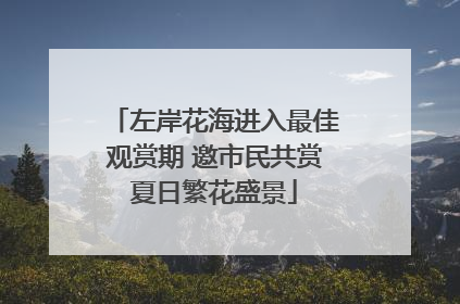 左岸花海进入最佳观赏期 邀市民共赏夏日繁花盛景