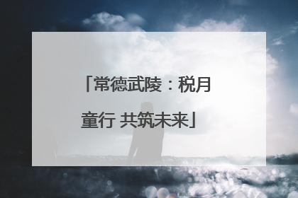 常德武陵：税月童行 共筑未来