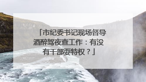 市纪委书记现场督导酒醉驾夜查工作：有没有干部耍特权？