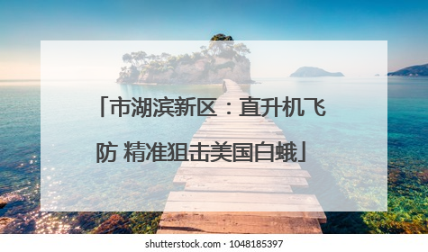 市湖滨新区：直升机飞防 精准狙击美国白蛾