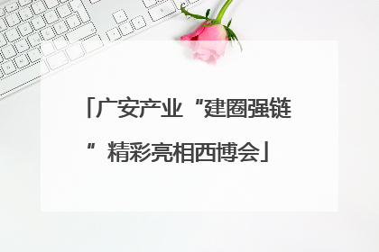 广安产业“建圈强链”精彩亮相西博会