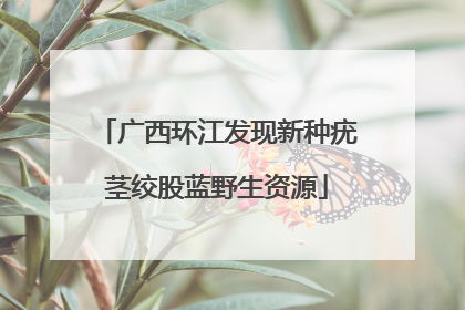 广西环江发现新种疣茎绞股蓝野生资源
