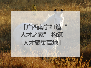 广西南宁打造“人才之家” 构筑人才聚集高地