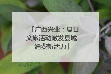 广西兴业：夏日文旅活动激发县域消费新活力