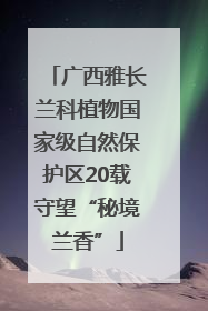 广西雅长兰科植物国家级自然保护区20载守望“秘境兰香”