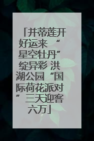 并蒂莲开好运来 “星空牡丹”绽异彩 洪湖公园“国际荷花派对”三天迎客六万