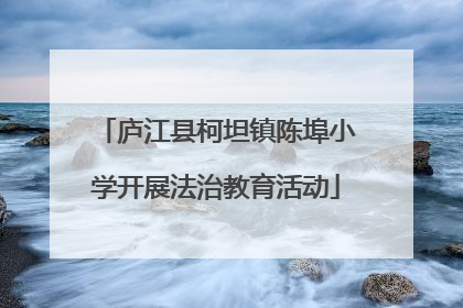 庐江县柯坦镇陈埠小学开展法治教育活动
