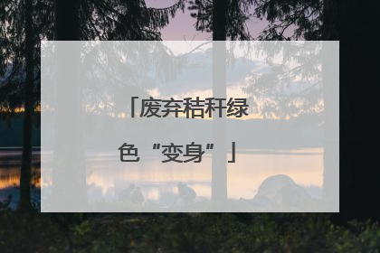 废弃秸秆绿色“变身”