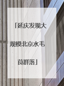 延庆发现大规模北京水毛茛群落