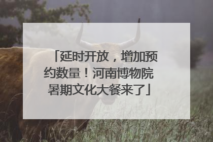 延时开放，增加预约数量！河南博物院暑期文化大餐来了