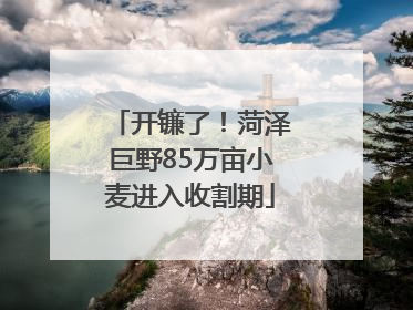 开镰了！菏泽巨野85万亩小麦进入收割期