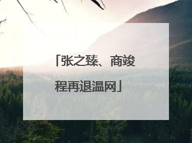 张之臻、商竣程再退温网