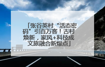 张谷英村“活态密码”引百万客！古村焕新，家风+科技成文旅融合新爆点