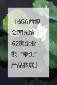 探访西博会南充馆 62家企业携“拳头”产品参展