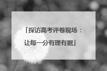 探访高考评卷现场：让每一分有理有据