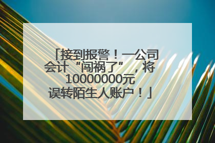 接到报警！一公司会计“闯祸了”，将10000000元误转陌生人账户！