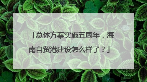 总体方案实施五周年，海南自贸港建设怎么样了？
