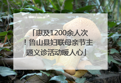 惠及1200余人次！鲁山县妇联母亲节主题义诊活动暖人心