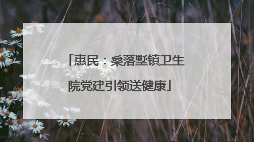 惠民：桑落墅镇卫生院党建引领送健康